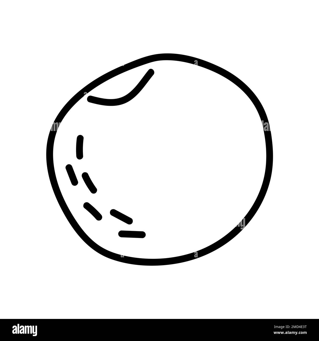 peach fruit doodle hand drawn illustration Stock Vector Image & Art Alamy