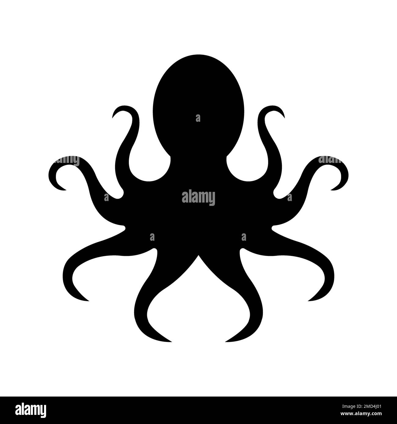 Cephalopod Black and White Stock Photos & Images - Alamy
