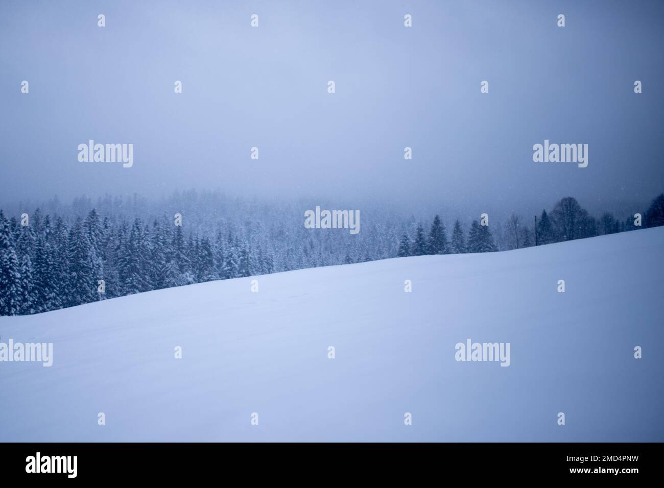 Paysages Vosgiens sous la neige Stock Photo