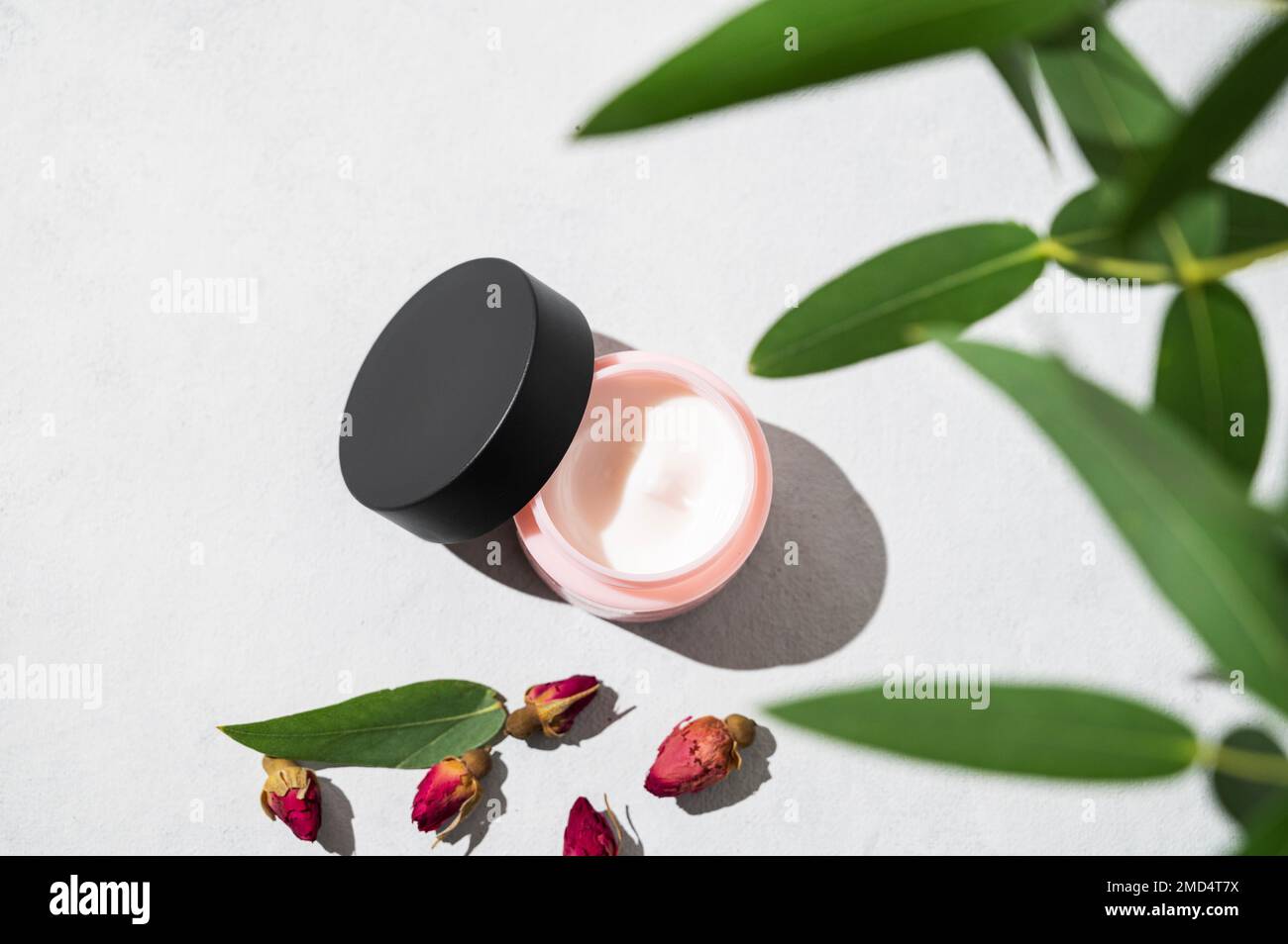 Face and body cream on a light background with shadow. The concept of care cosmetics with rose and eucalyptus. Health and beauty. Top view and copy sp Stock Photo