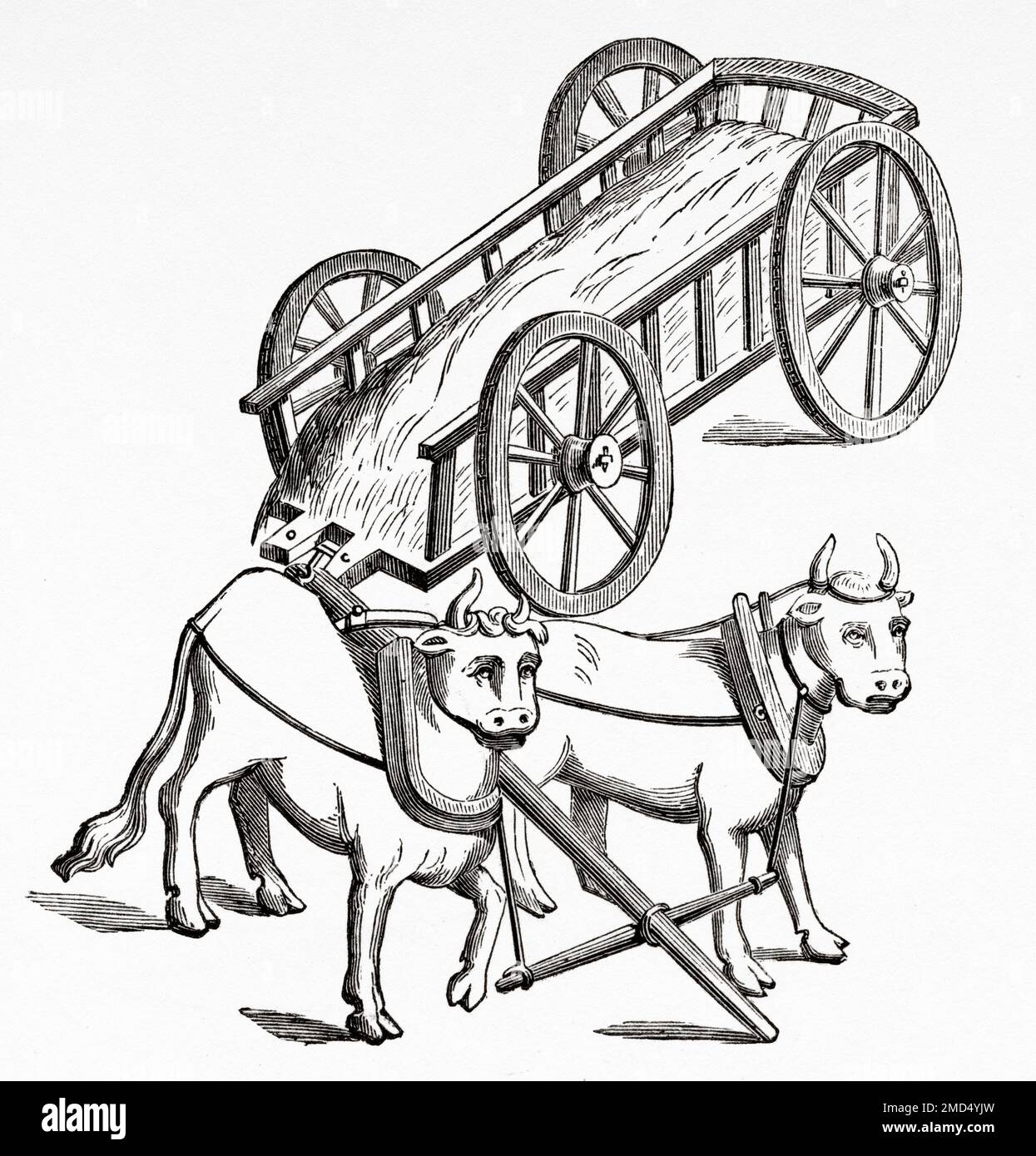 Cart drawn by oxen, 15th century. The Arts of the Middle Ages and at the Period of the Renaissance by Paul Lacroix, 1874 Stock Photo