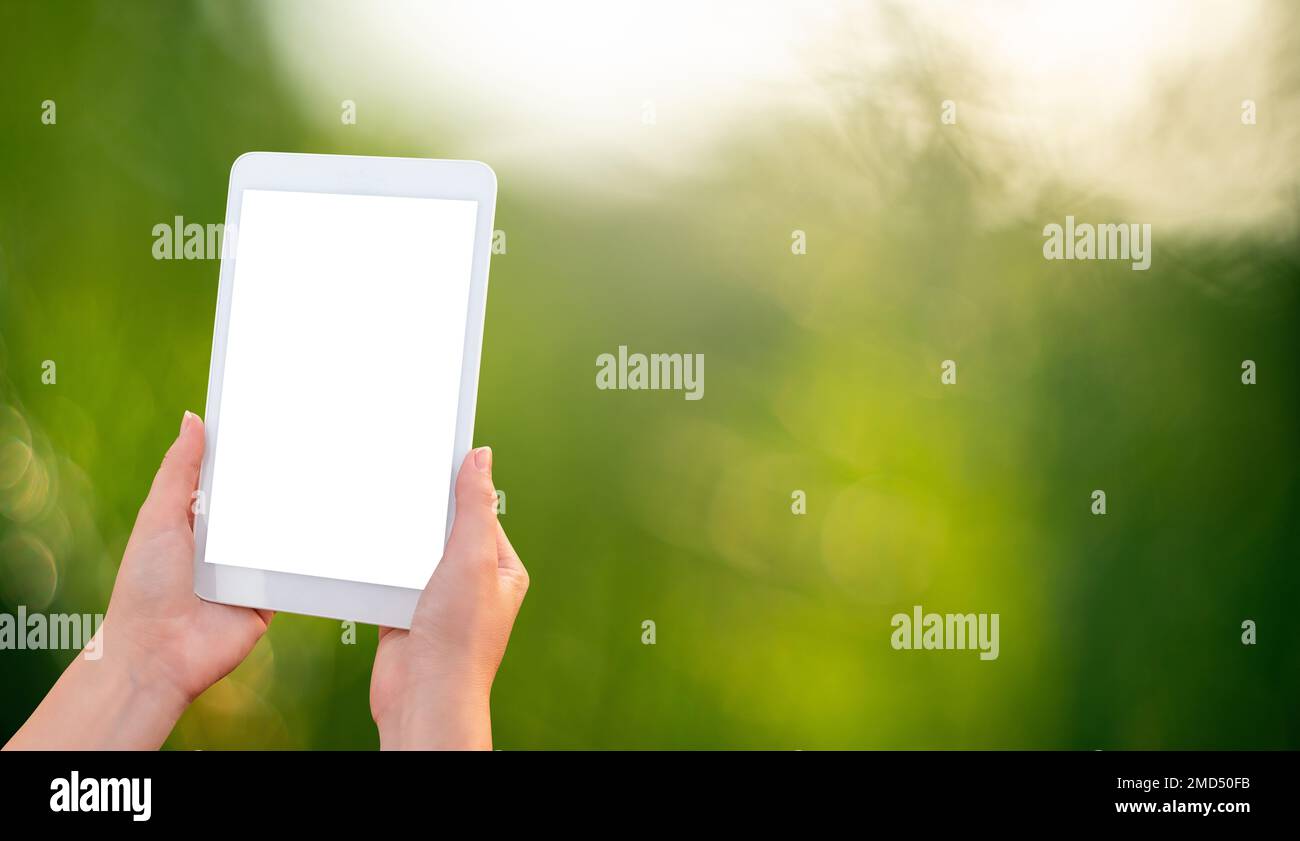 Digital tablet in hands on a green background Stock Photo