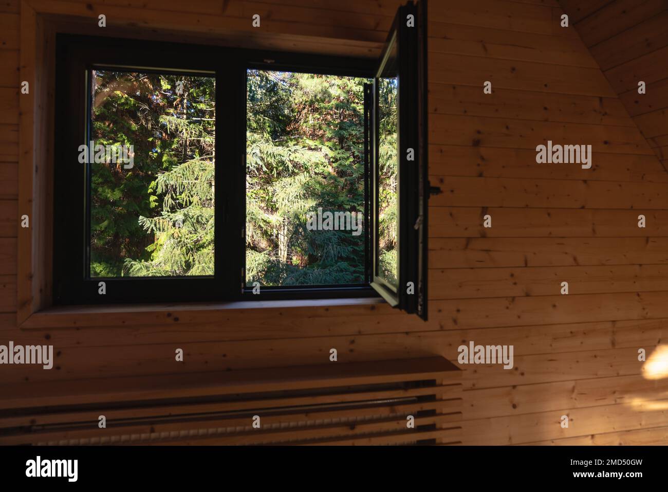Window in a wooden house with a view of green pine trees Stock Photo