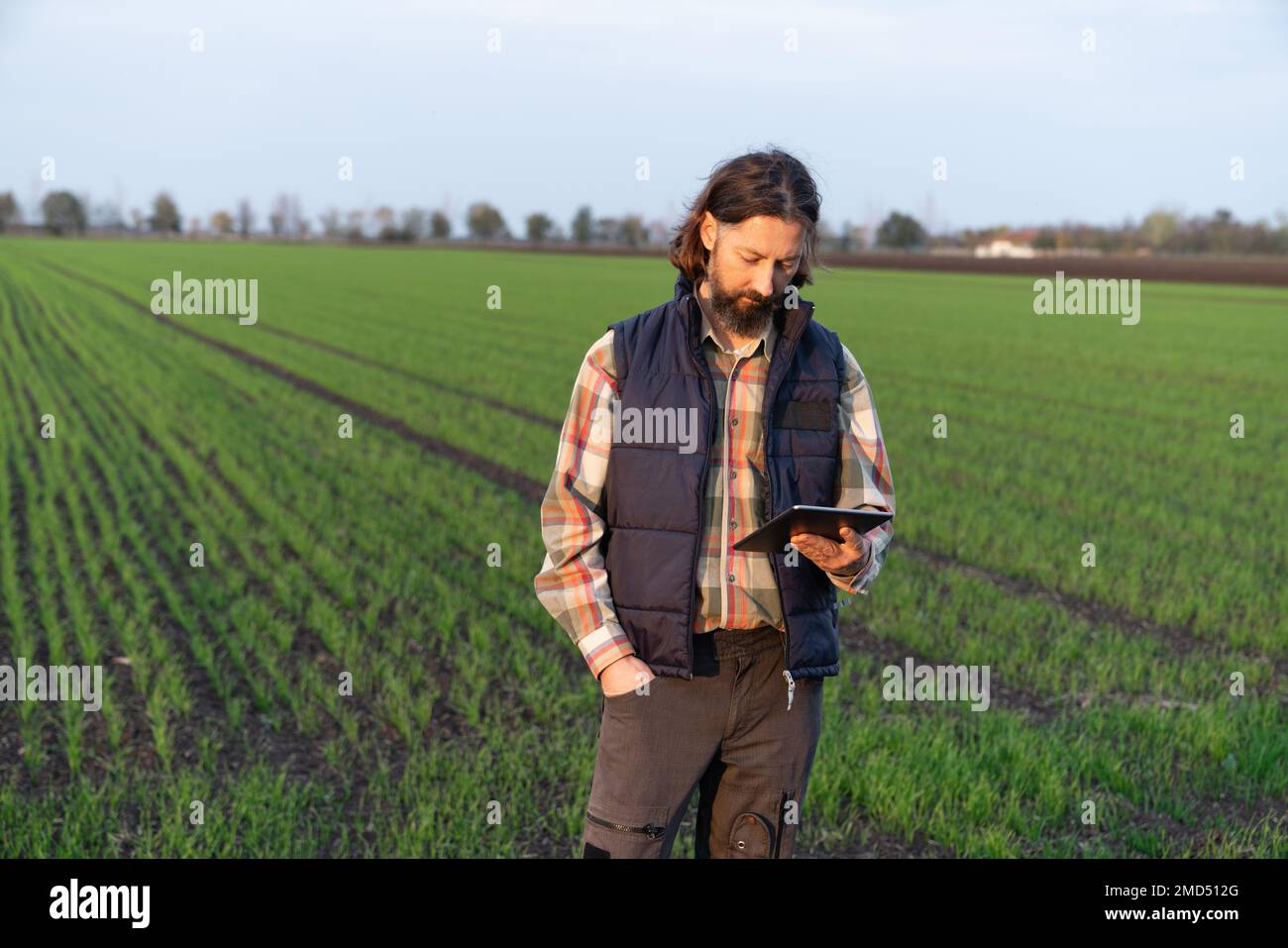 Farmer with digital tablet on a field. Smart farming and digital agriculture Stock Photo
