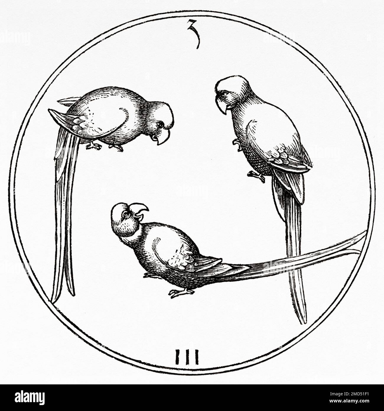 Three of parrot. German card game from the end of the 15th century. The Arts of the Middle Ages and at the Period of the Renaissance by Paul Lacroix, 1874 Stock Photo