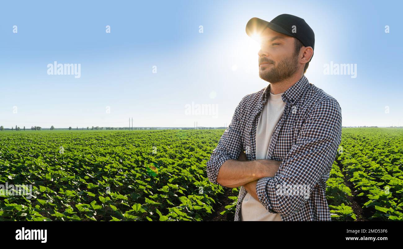 Bearded farmer in a cap and a plaid shirt against the background of agricultural field Stock Photo