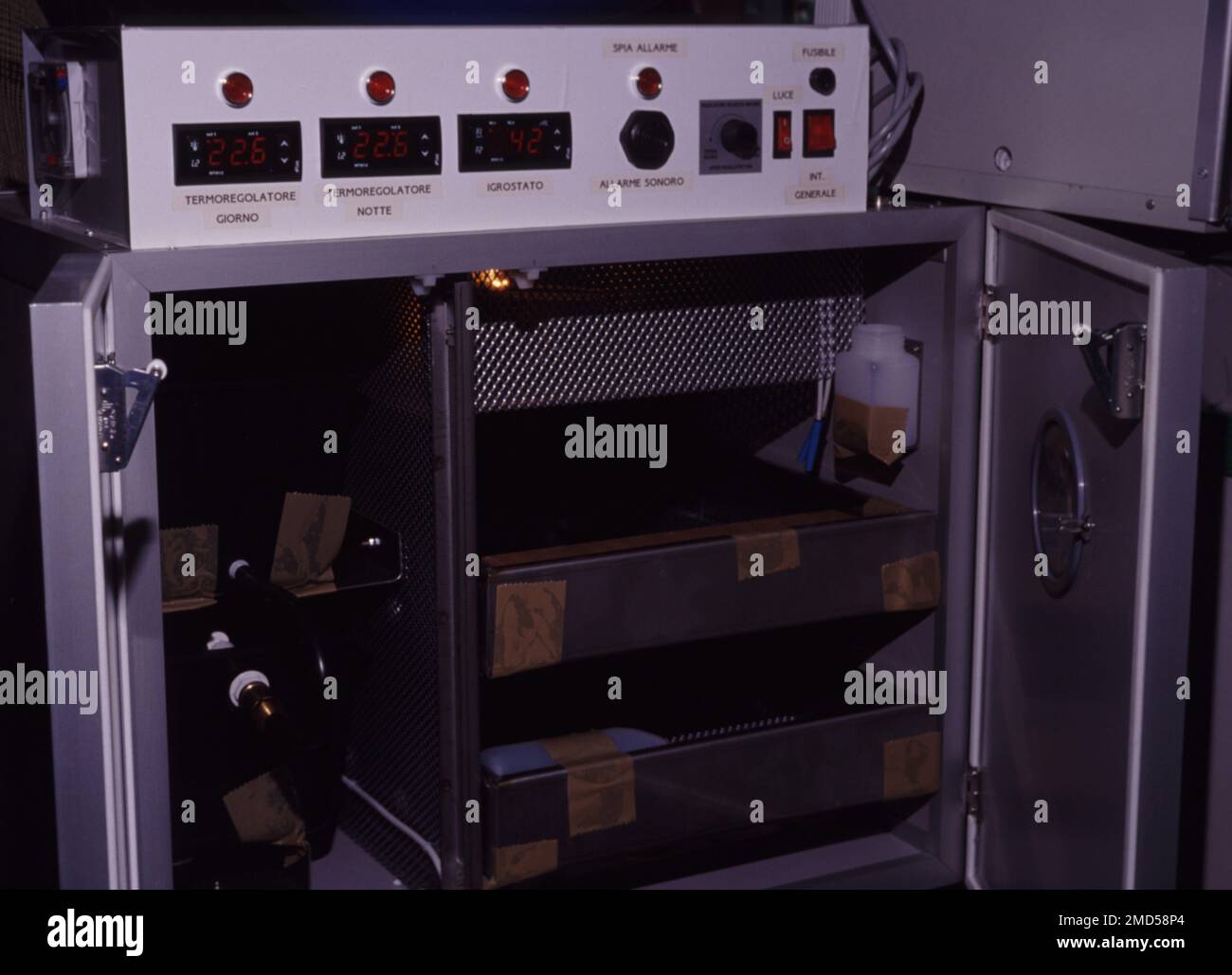 Reptile eggs incubator Stock Photo Alamy