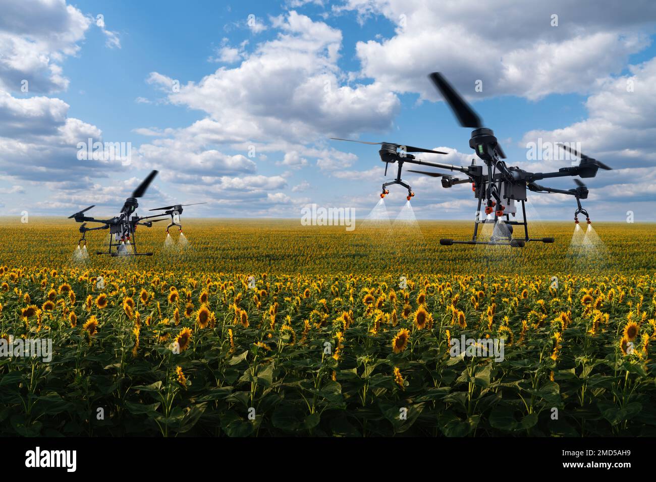 Drones sprayers flies over the agricultural field. Smart farming and precision agriculture Stock Photo