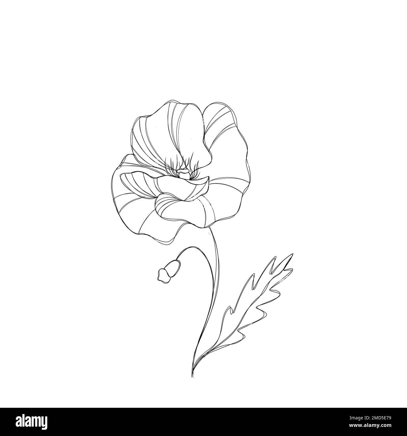Poppy tattoo Cut Out Stock Images  Pictures  Alamy