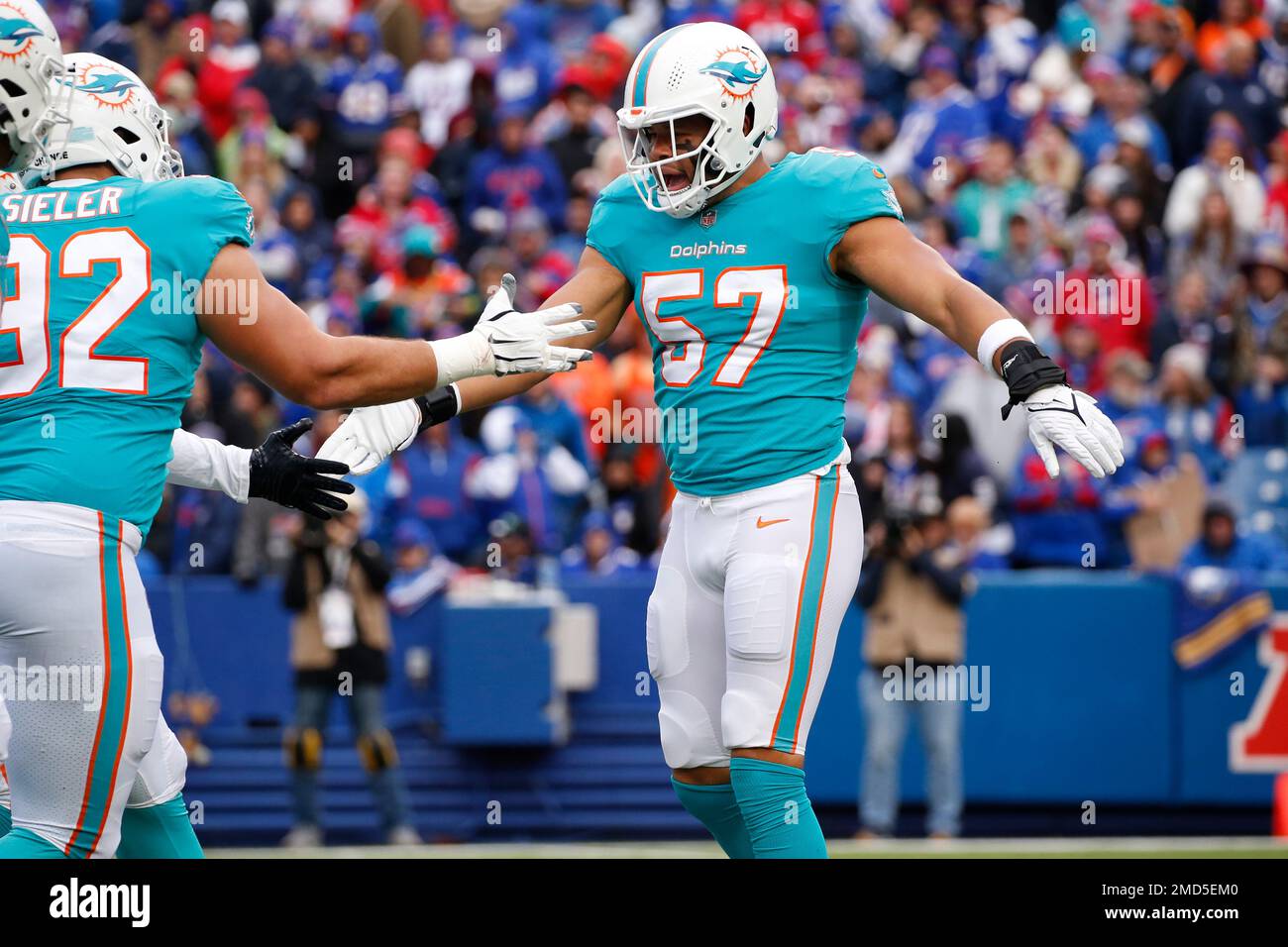 Miami Dolphins linebacker Brennan Scarlett (57) stands on the sidelines  during an NFL football game against the Baltimore Ravens, Thursday Nov. 11,  2021, in Miami Gardens, Fla. (AP Photo/Doug Murray Stock Photo - Alamy