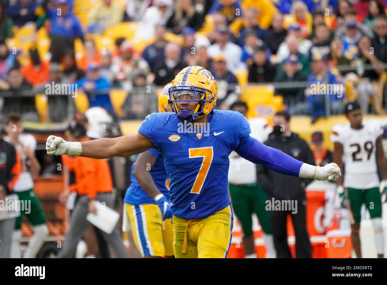 Pittsburgh Linebacker SirVocea Dennis 7 Plays Against Miami During An pittsburgh-linebacker-sirvocea-dennis-7-plays-against-miami-during-an