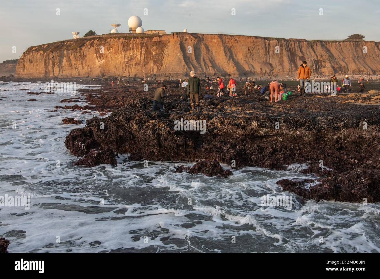 During the king tide in the San Francisco bay area crowds of people gather at Pillar Point to harvest mussels & other marine life. Stock Photo