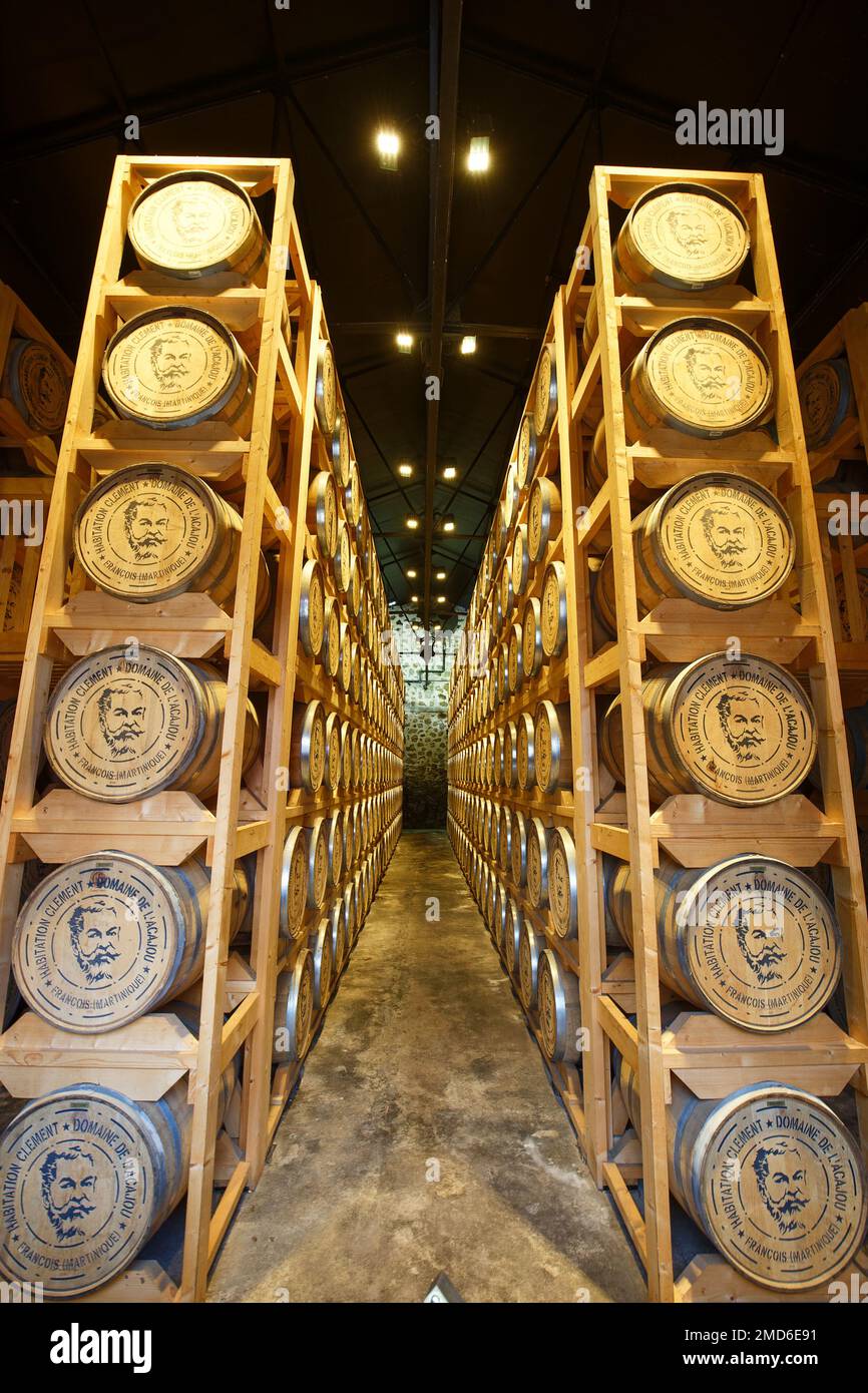 Barrels with rum in Habitation Clement on Martinique island . French ...