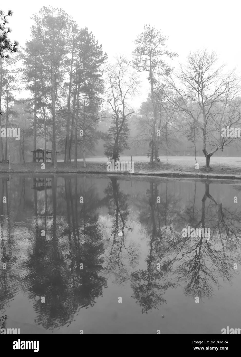 Rolling forest Black and White Stock Photos Images Alamy