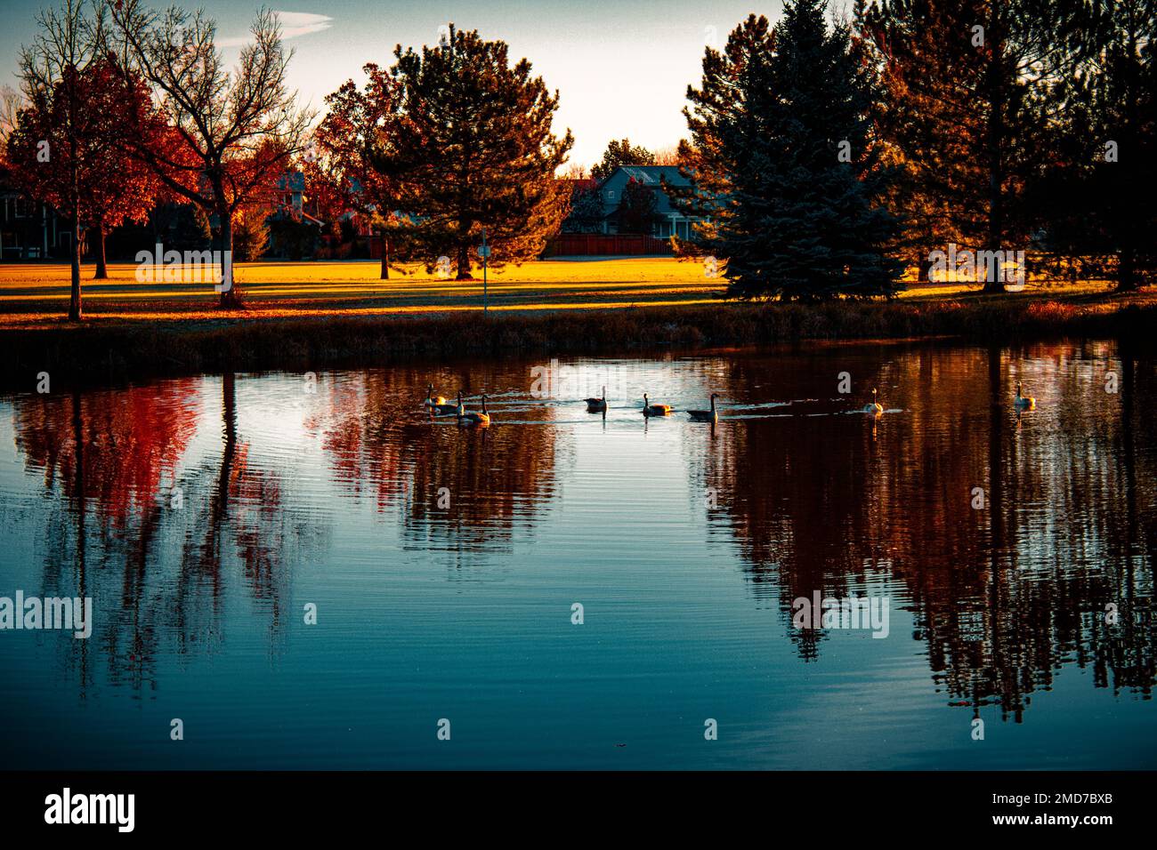 A view of a lake and trees on an autumn day Stock Photo - Alamy
