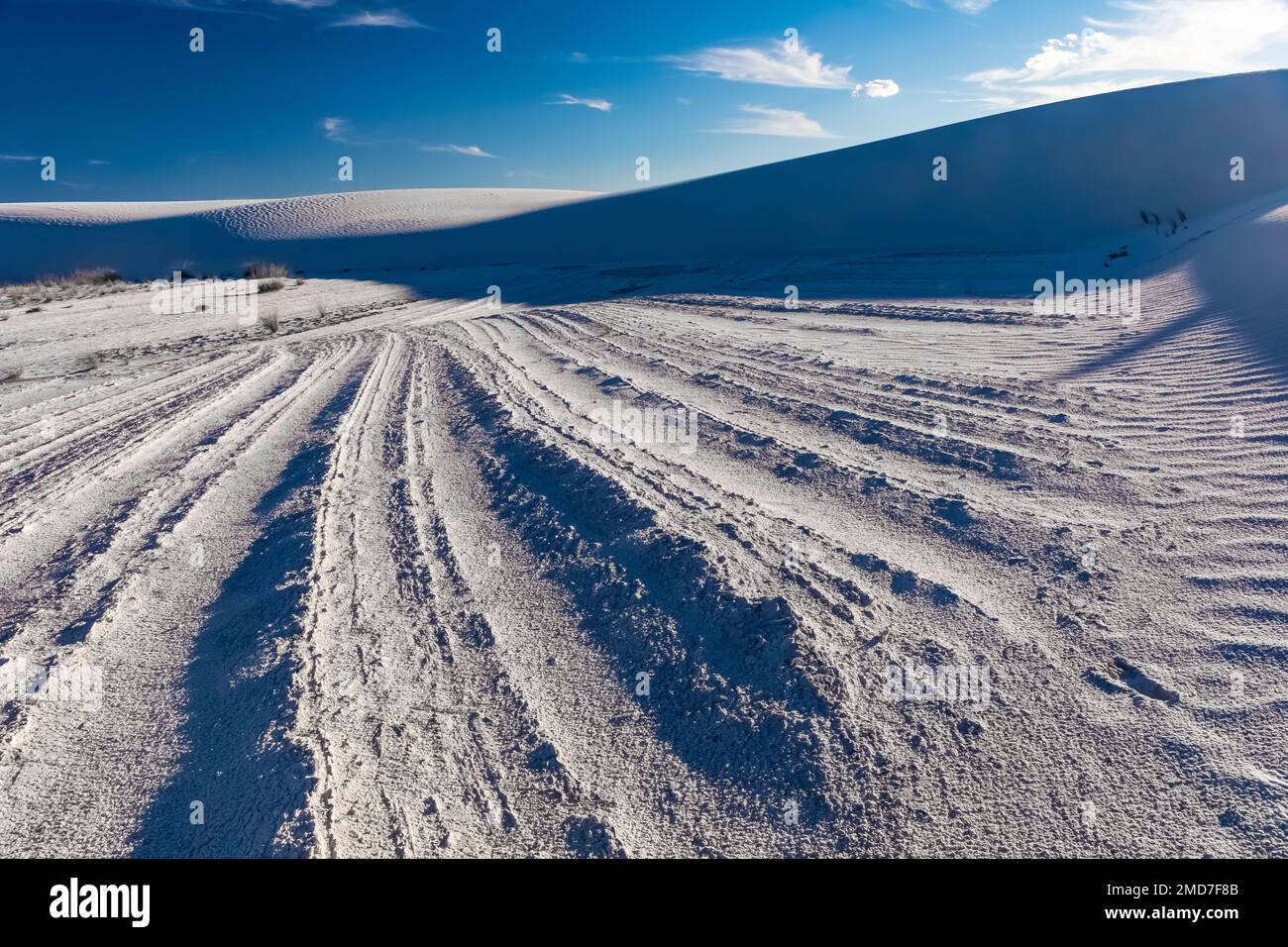 Hard Ridges Man Hard ridges of sand between blowing dunes in the gypsum dunes of White ...