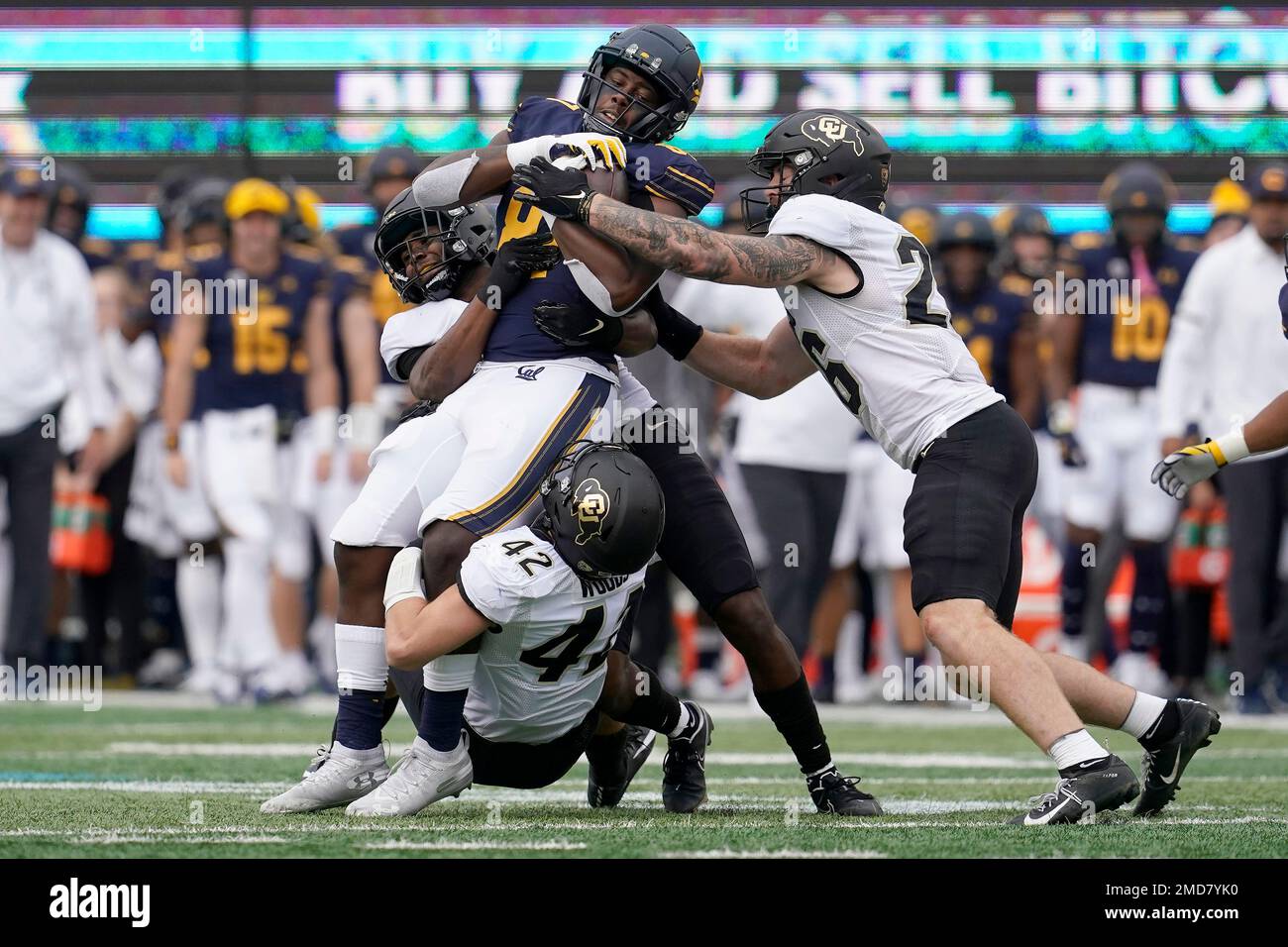 California tight end Jermaine Terry II, center, is tackled by