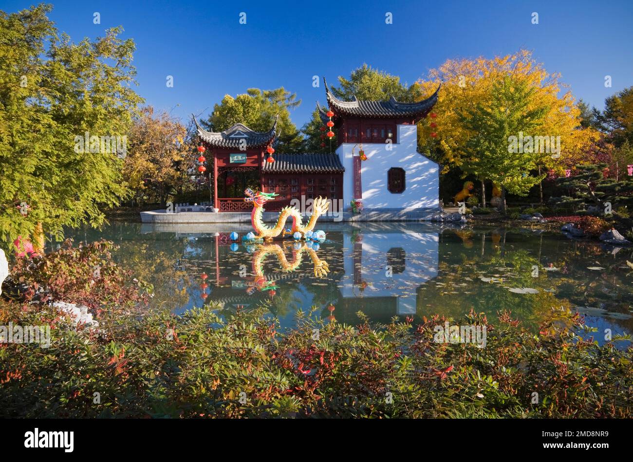 The Stone Boat pavilion and Lotus pond with the Magic of Lanterns exhibit in Chinese Garden in autumn, Montreal Botanical Garden, Quebec, Canada. Stock Photo
