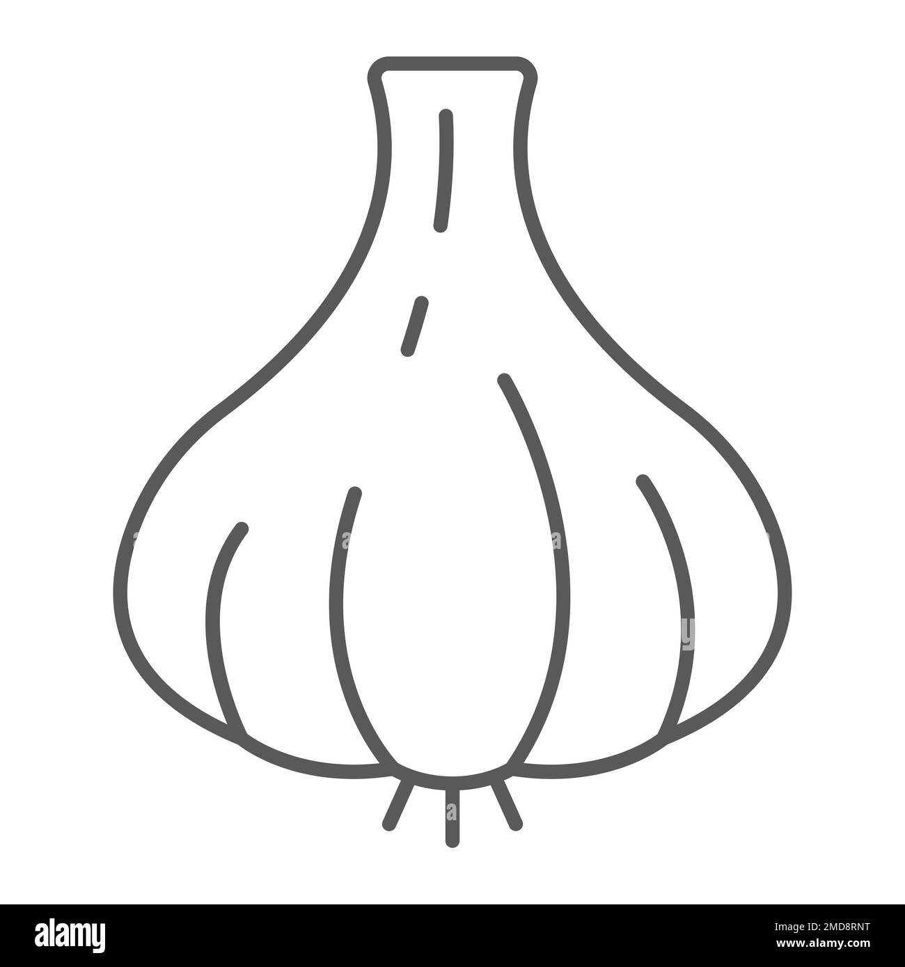 Garlic line icon, vegetable and diet, vegetarian sign, vector graphics ...