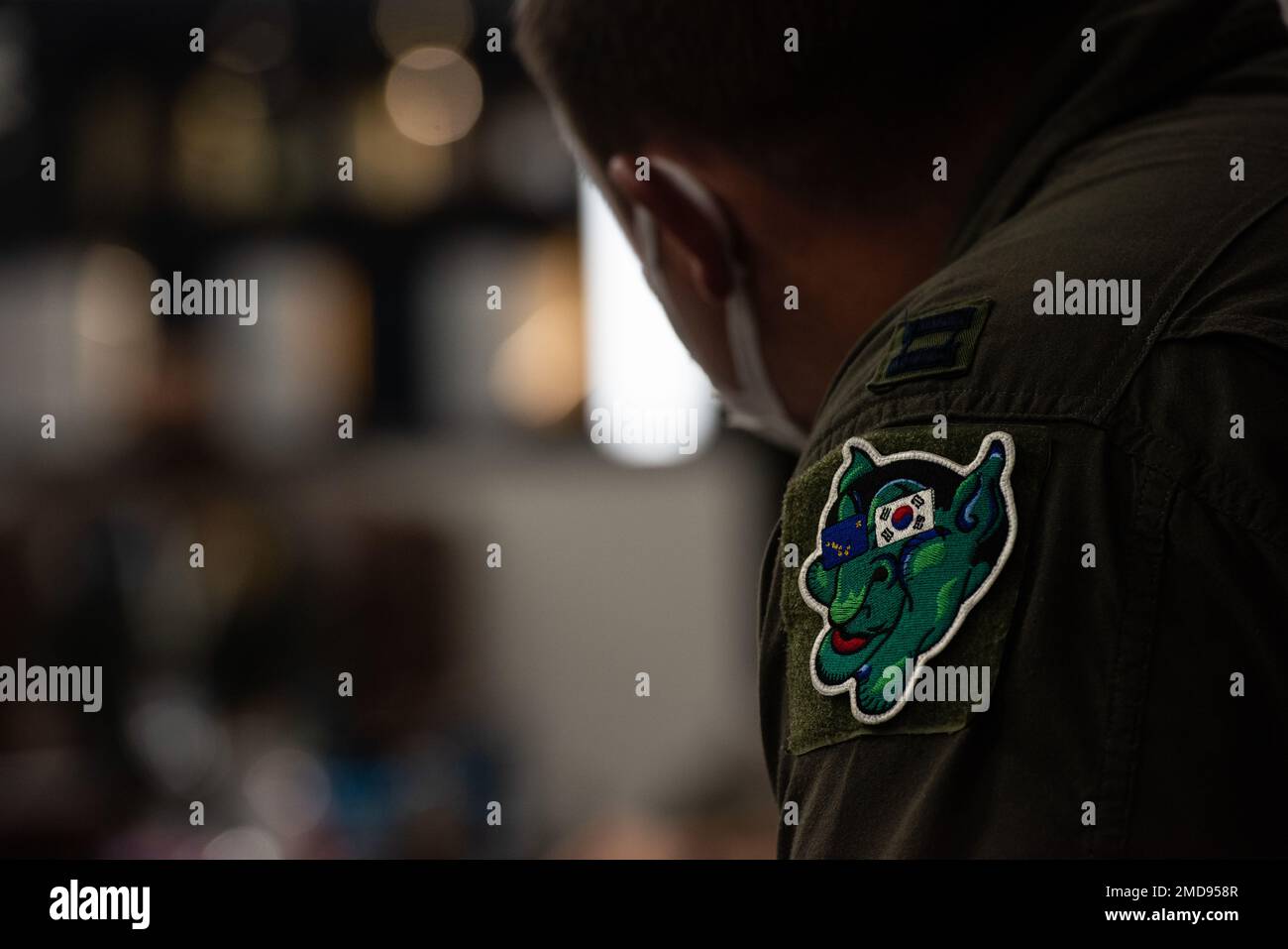 A U.S. Air Force (USAF) F-35 pilot assigned to the 356th Fighter ...