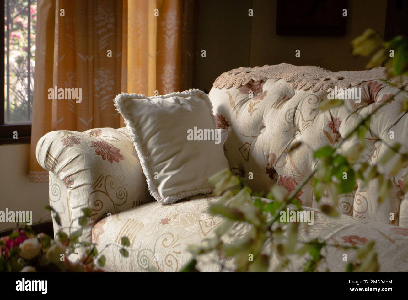 Sofa with cushion in shade of beige Stock Photo