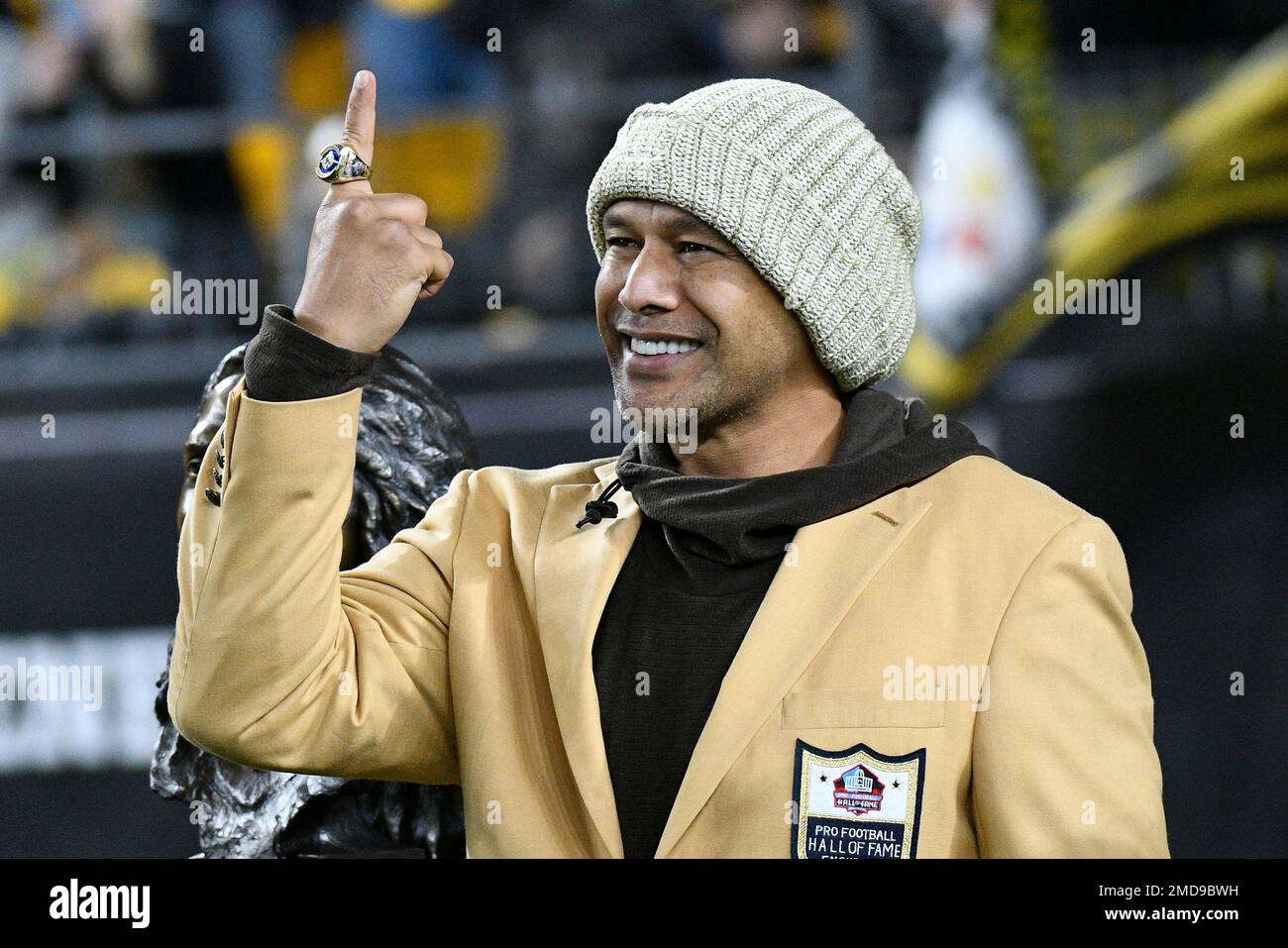 Troy clearance polamalu rings