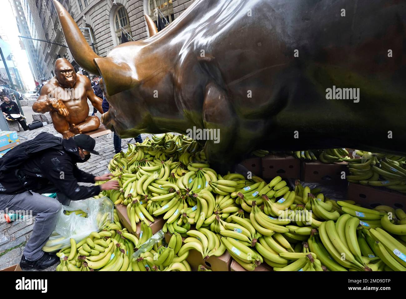 A statue of Harambe, the gorilla from the Cincinnati Zoo, faces Arturo