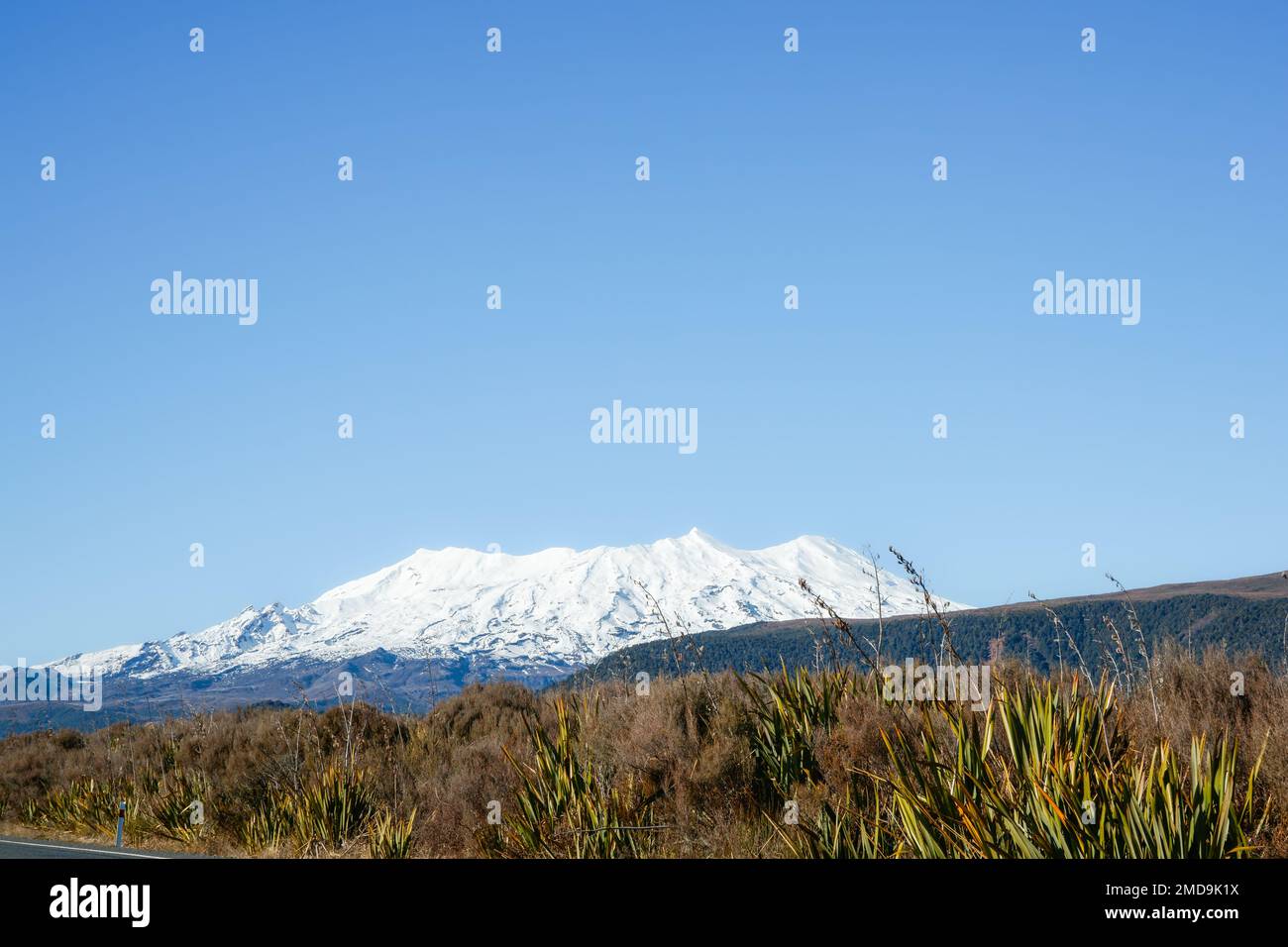Snow capped Mount Ruapehu beyond bush clad landscape in north Island ...