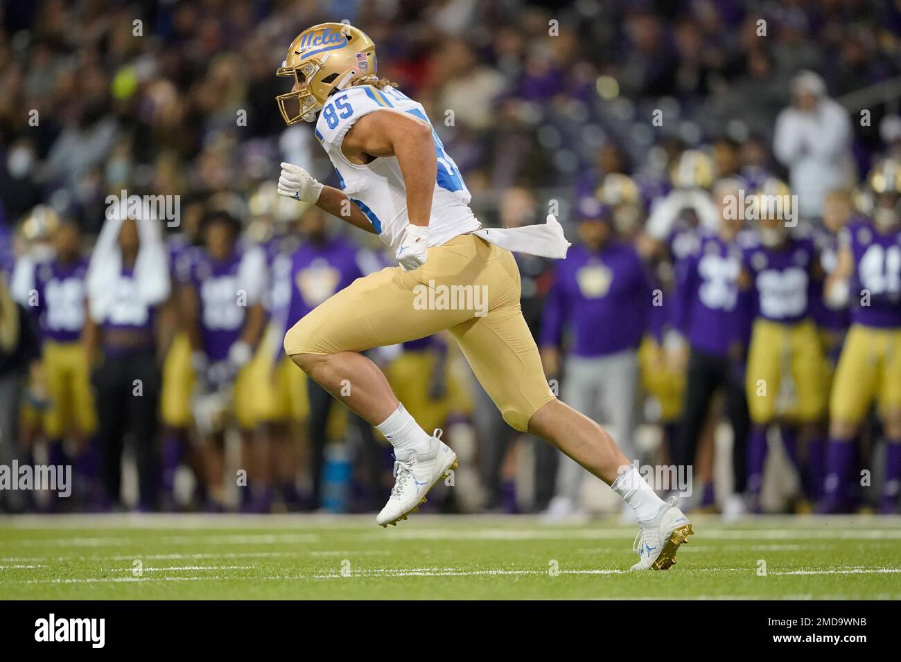 UCLA tight end Greg Dulcich during the second half of an NCAA college  football game against Washington, Saturday, Oct. 16, 2021, in Seattle. (AP  Photo/Ted S. Warren Stock Photo - Alamy