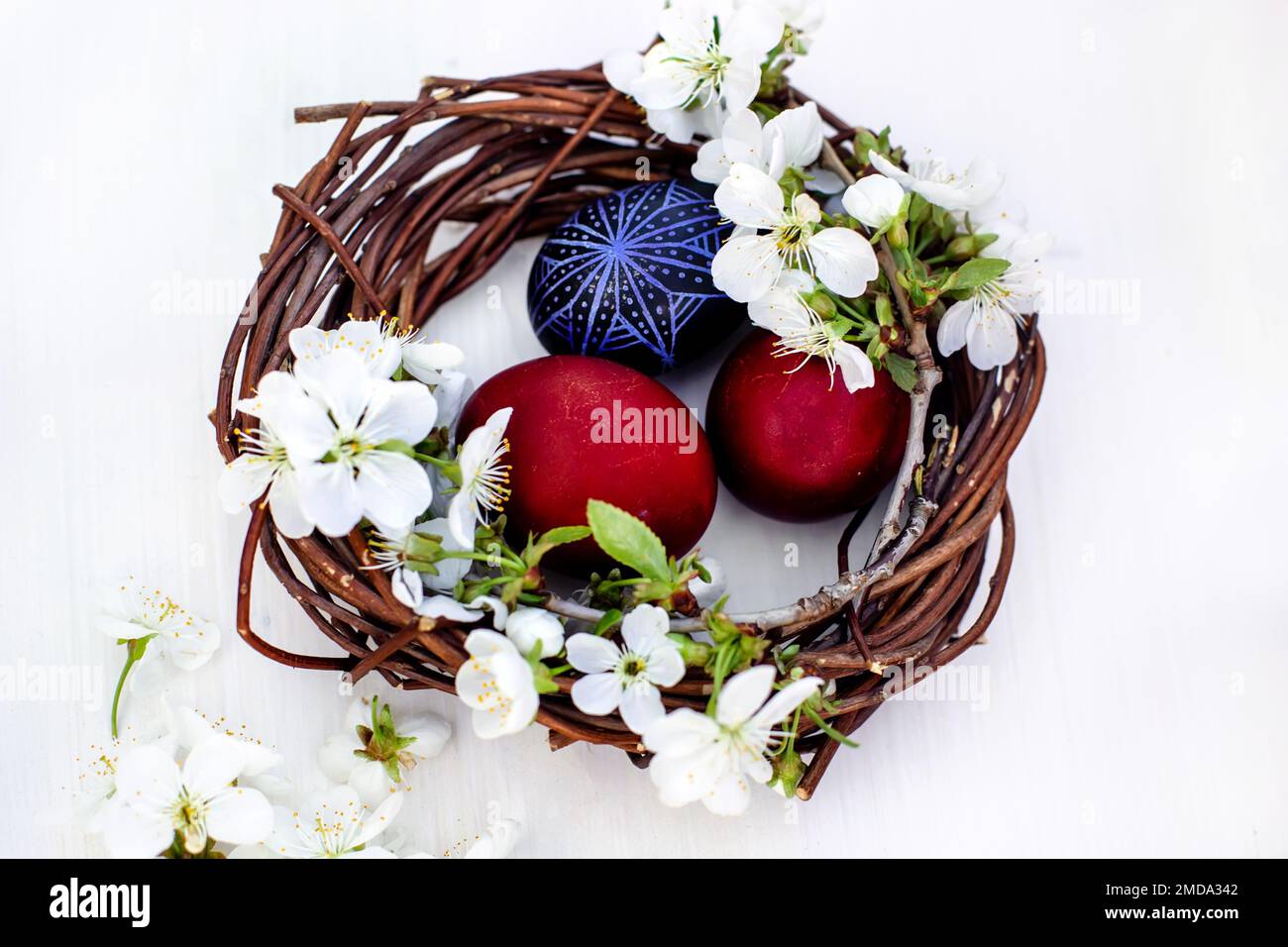 nest with Easter eggs and branches of spring flowering cherries on a ...
