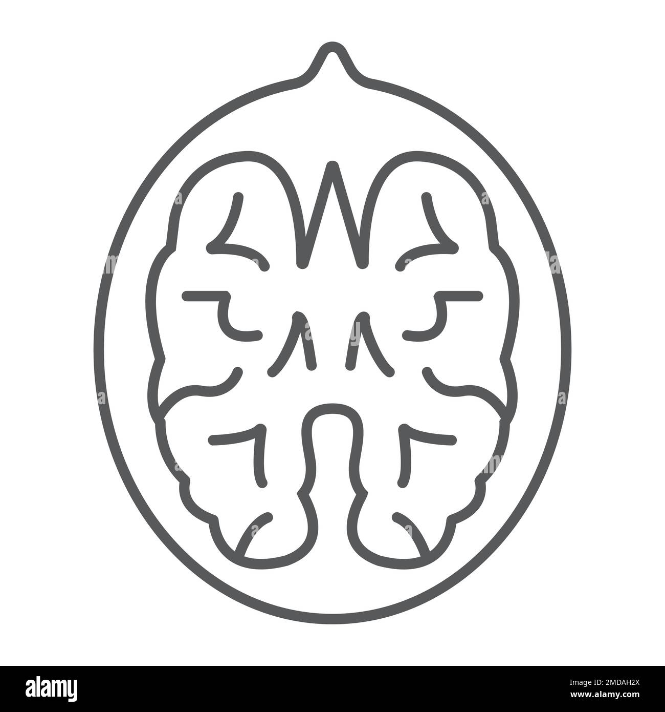 Walnut thin line icon, vegetable and nut, vegetarian sign, vector graphics, a linear pattern on a white background, eps 10. Stock Vector
