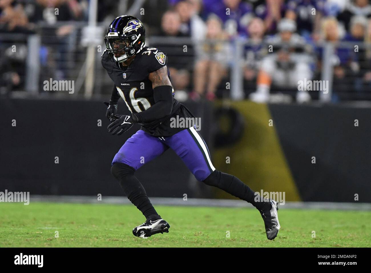 Baltimore Ravens safety Chuck Clark (36) in action during the second half  of an NFL football game against the Carolina Panthers, Sunday, Nov. 20,  2022, in Baltimore. (AP Photo/Nick Wass Stock Photo - Alamy