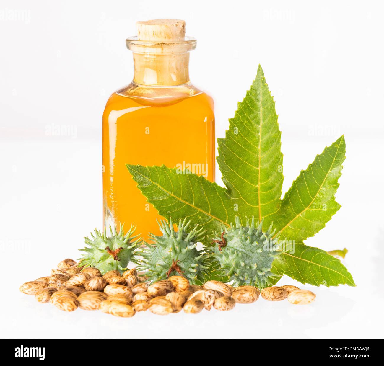 Ricinus communis seeds and hair oil - Natural product Stock Photo