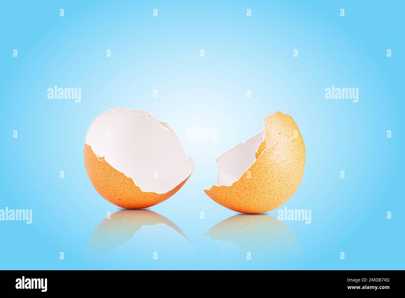 Egg shell isolated on white. Broken egg shell on light blue background Stock Photo
