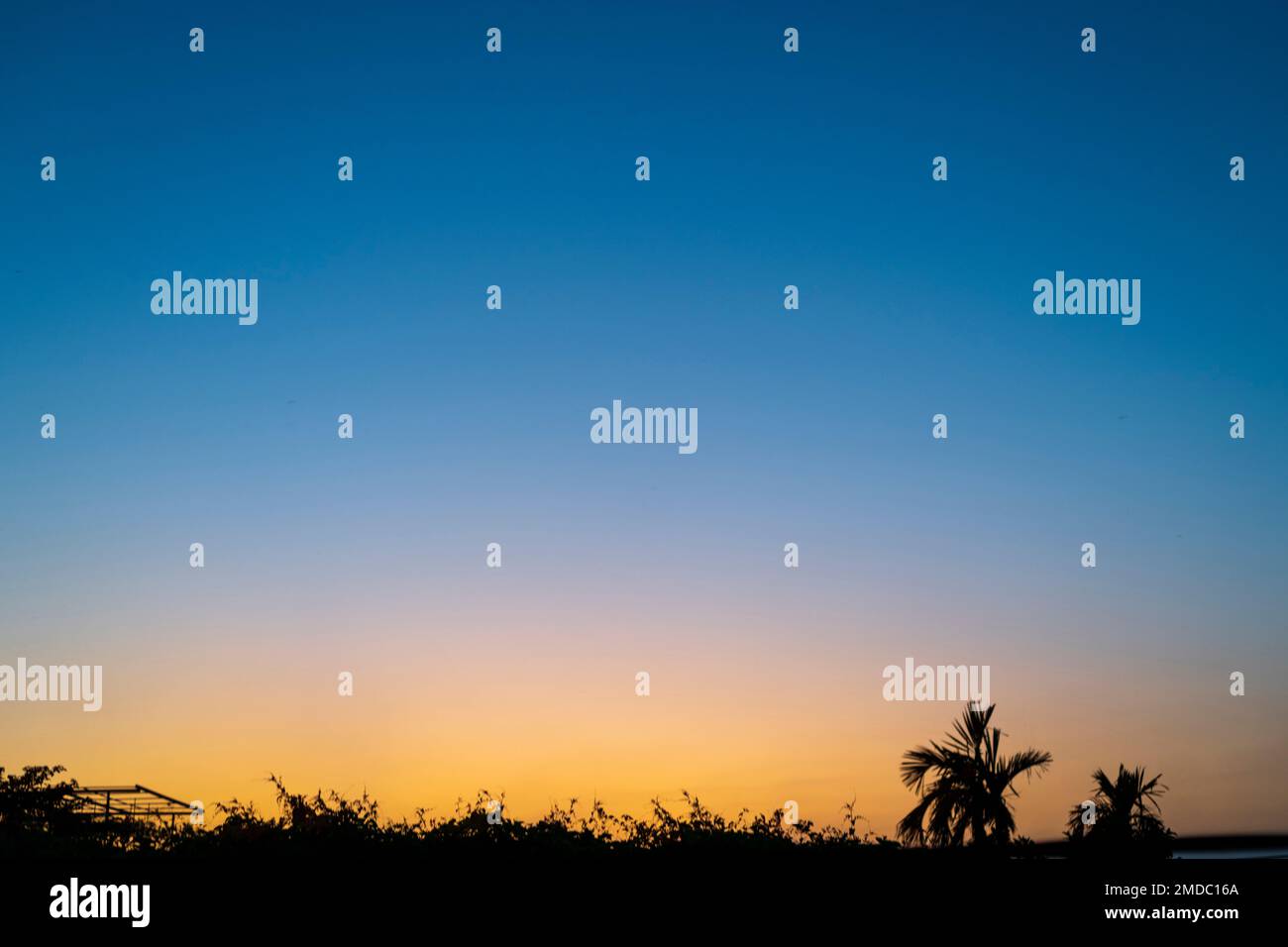 Sunset with a warm orange over the tree line in the tropics. Stock Photo