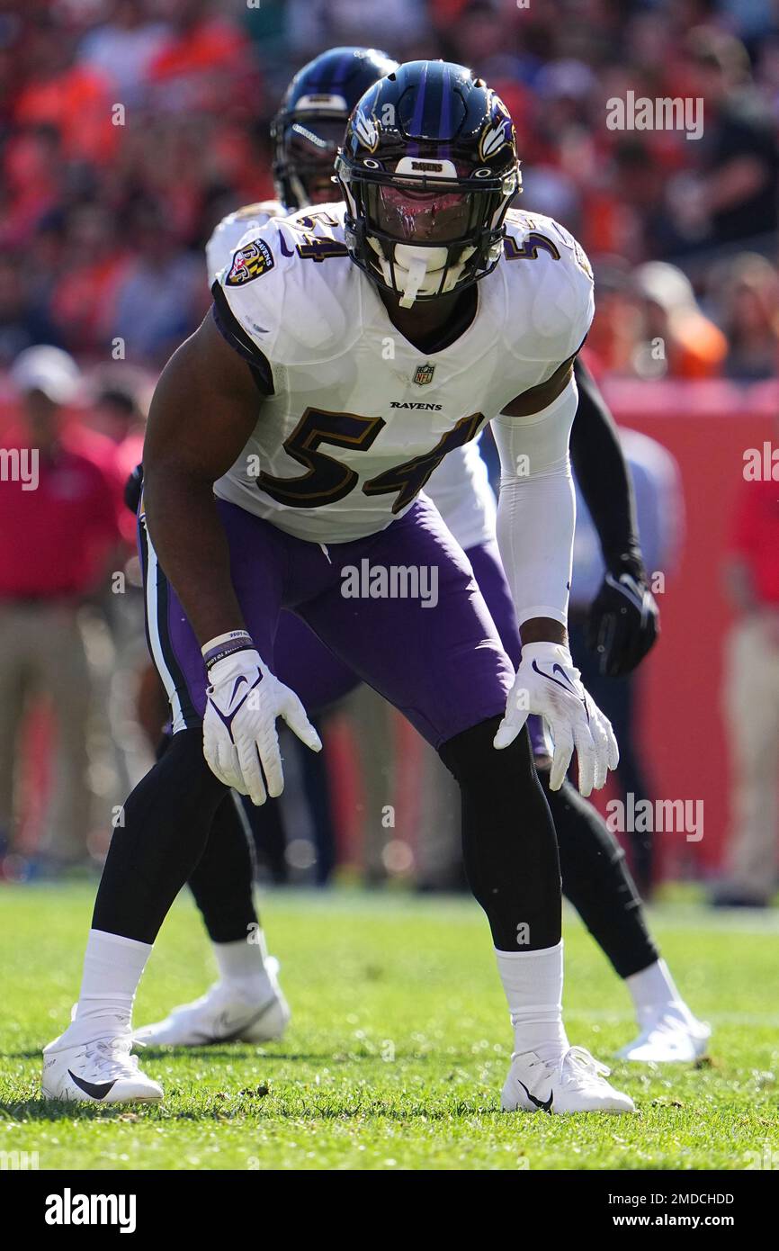 Baltimore Ravens linebacker Tyus Bowser (54) takes to the field before an NFL  football game against the Denver Broncos, Sunday, Dec. 4, 2022, in  Baltimore. (AP Photo/Nick Wass Stock Photo - Alamy