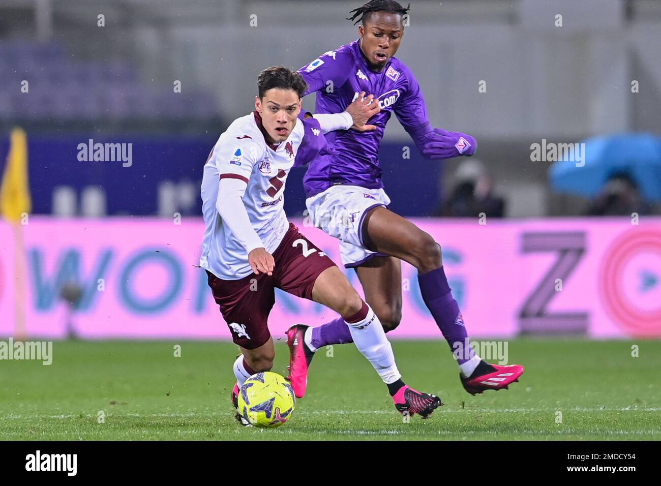 Artemio Franchi stadium, Florence, Italy, January 21, 2023, ACF Fiorentina  team line-up during ACF Fiorentina vs Torino FC - italian soccer Serie A  Stock Photo - Alamy