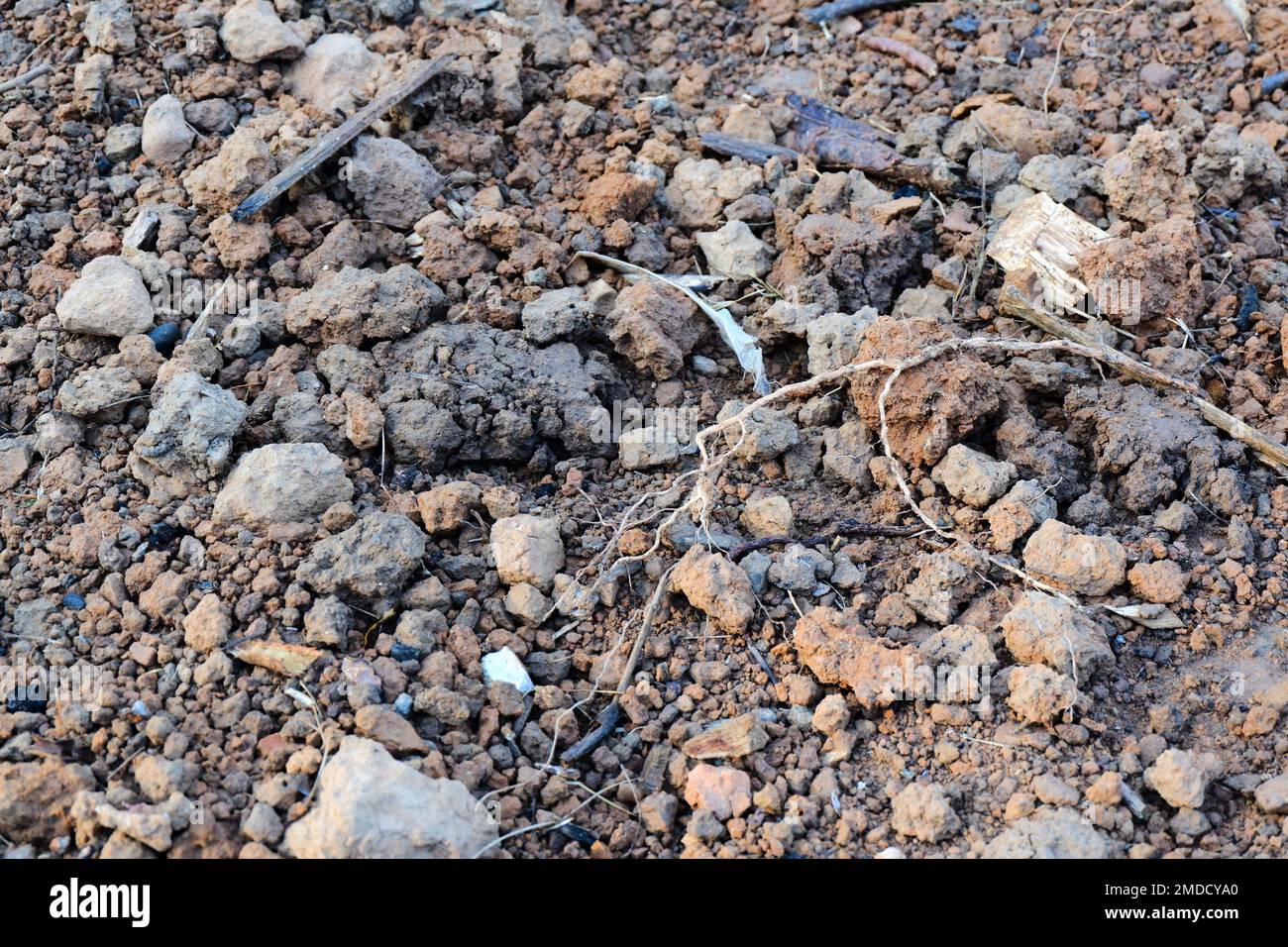 good quality soil minerals nutrients in the soil quality for