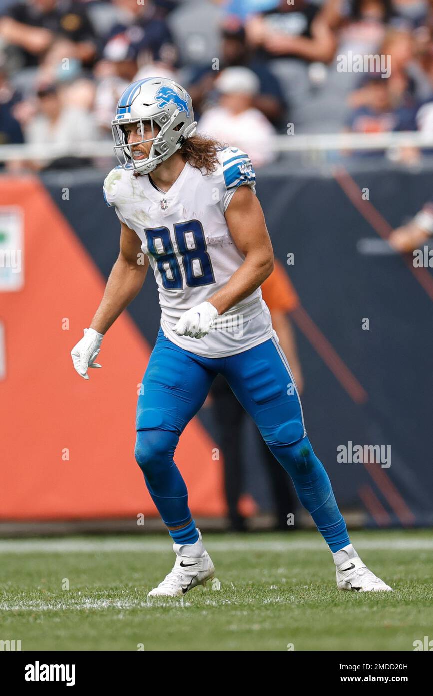 Detroit Lions tight end T.J. Hockenson (88) in action during the second  half of an NFL football game against the Chicago Bears, Sunday, Oct. 3,  2021, in Chicago. (AP Photo/Kamil Krzaczynski Stock