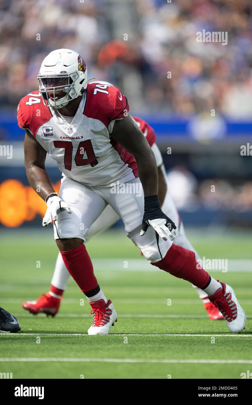 Download Arizona Cardinals Offensive Tackle DJ Humphries Photograph  Wallpaper