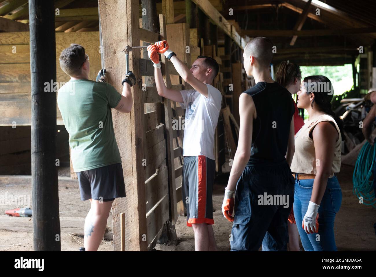 U.S. Navy Sailors, assigned to the aircraft carrier USS John C. Stennis (CVN 74), remove planks of wood at Willow Woods Equine Sanctuary as part of a community relations event, in Hampton, Virginia, July 16, 2022. The John C. Stennis is in Newport News Shipyard working alongside NNS, NAVSEA and contractors conducting Refueling and Complex Overhaul as part of the mission to deliver the warship back in the fight, on time and on budget, to resume its duty of defending the United States. Stock Photo