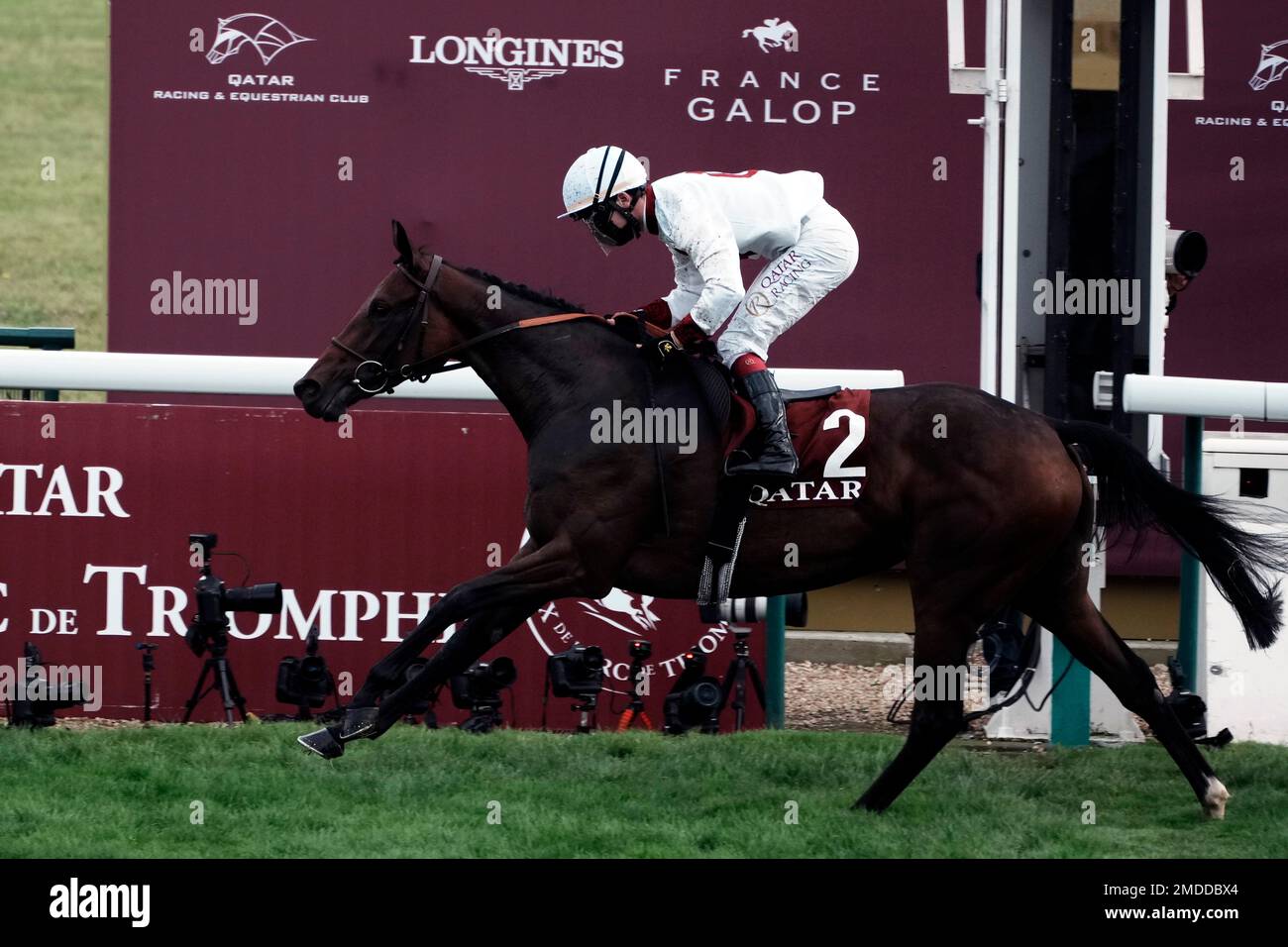 Qatar Prix Marcel Boussac 2026: quinze pouliches s'affrontent à ParisLongchamp