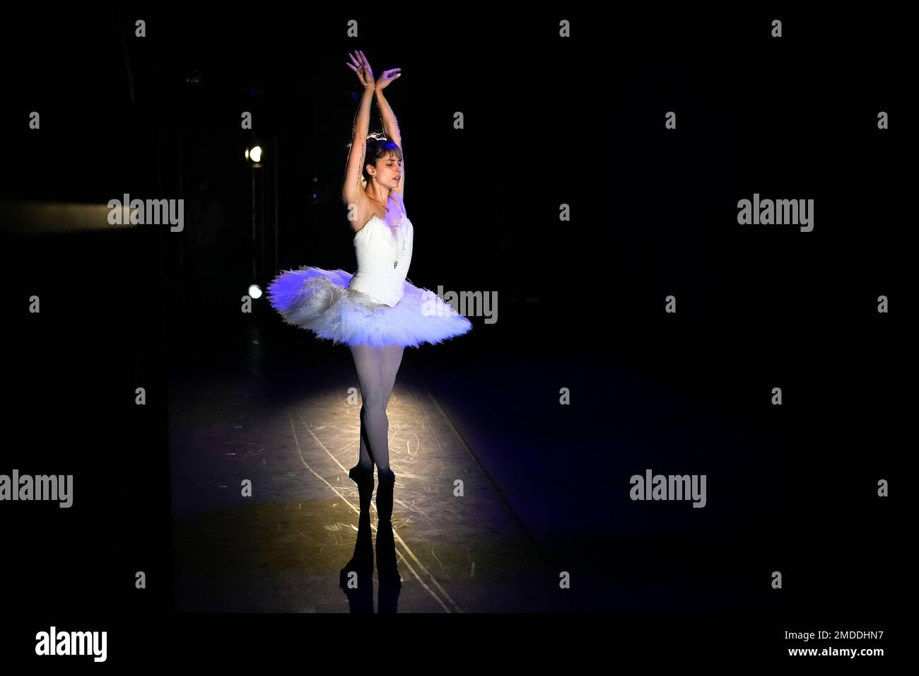 Brazil-German prima ballerina Bruna Andrade performs in The Dying Swans  ballet by choreographer Eric Gauthier, founder of the Gauthier Dance  Company at the Theaterhaus Stuttgart in Germany, at the scene of the