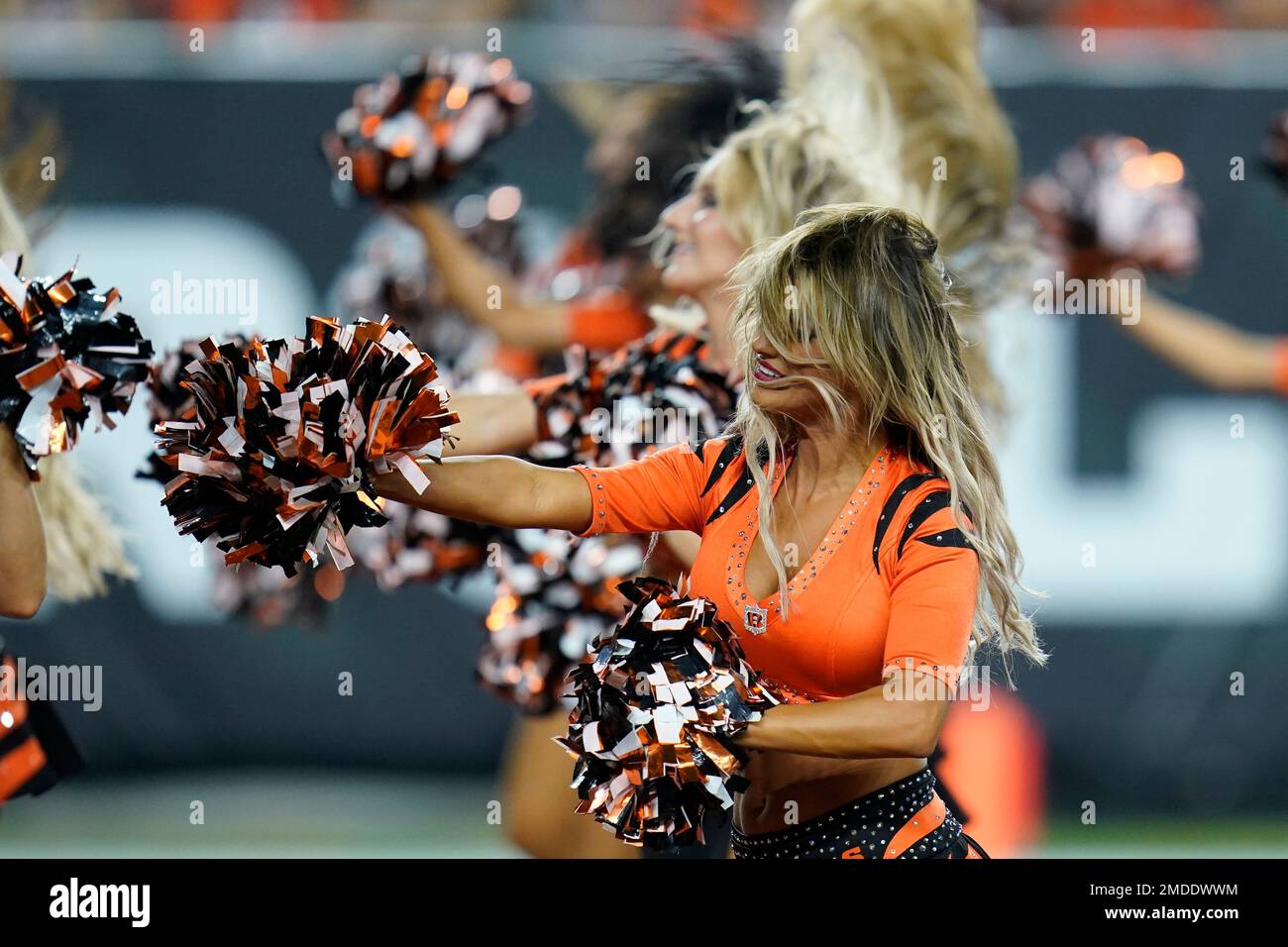 Cincinnati Bengals Cheerleader Cheer Their Team Editorial Stock Photo -  Stock Image