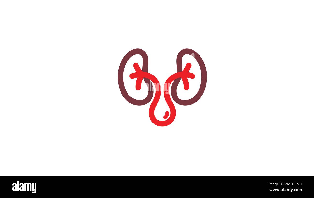 Creative Kidney Blood Drop Logo Vector Design Symbol Stock Vector Image