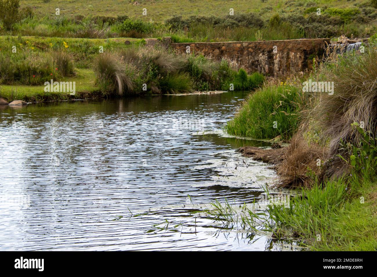 Water from a spring flows over a weir in the countryside Stock Photo ...