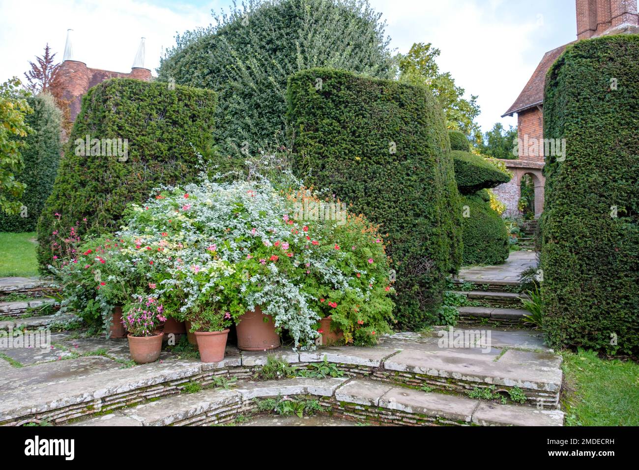 Great Dixter, flowering pots on steps, East Sussex, UK Stock Photo