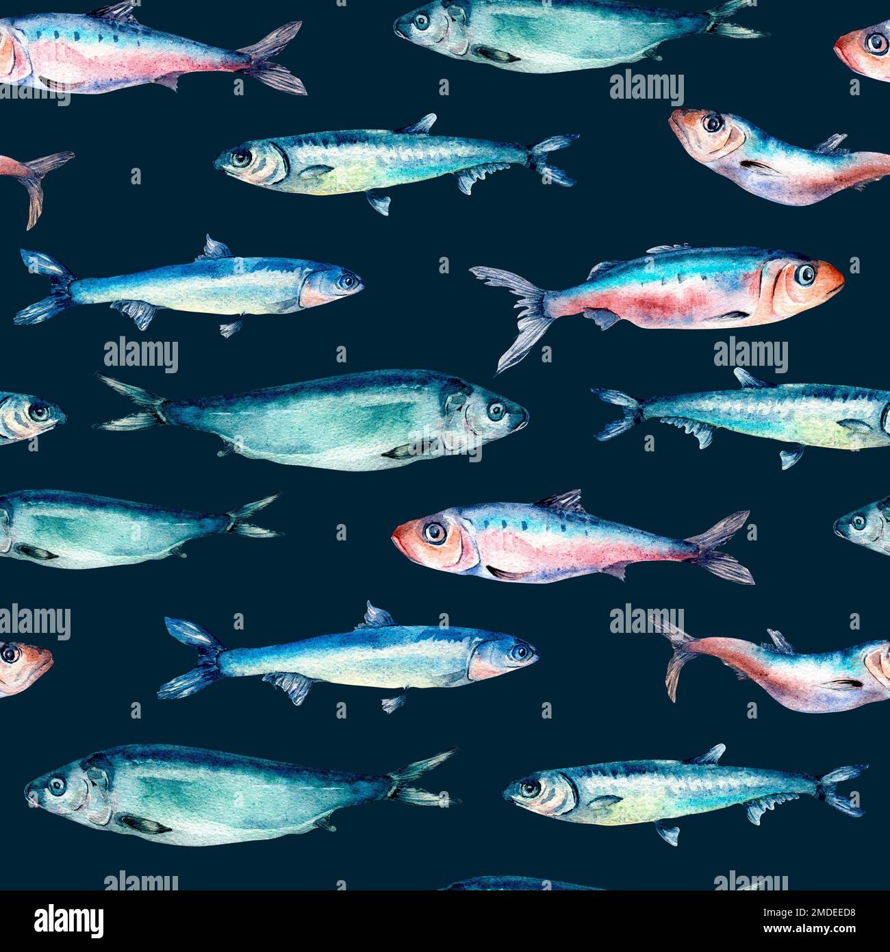 Sea fish horizontally seamless pattern watercolor isolated on black ...