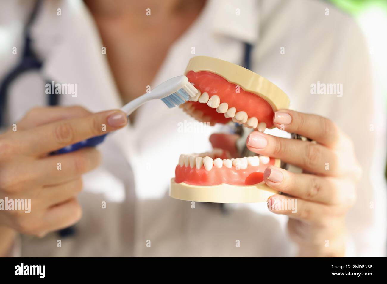 Dentist showing patient how to brush teeth close up Stock Photo Alamy