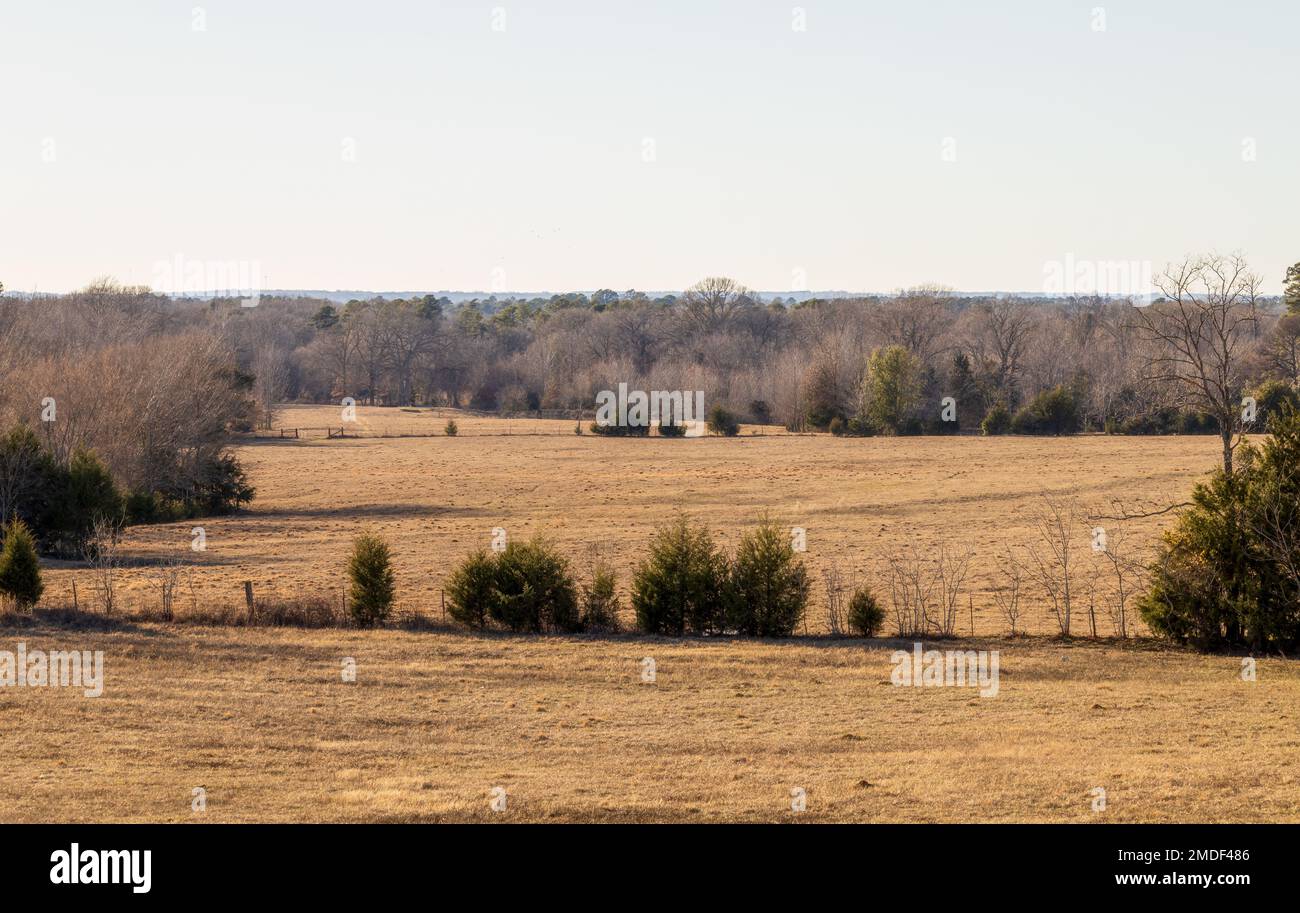 Rural landscape pasture. Texas ranch farmland in winter time. Stock Photo